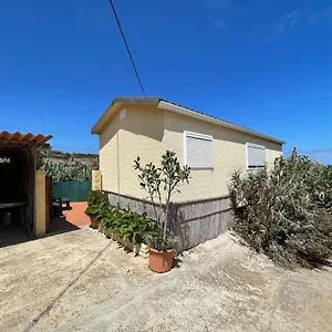 https://das-huschen-im-bambus.in-canary-islands.com